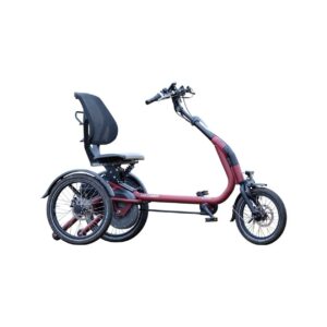 Van Raam Easy Rider compact